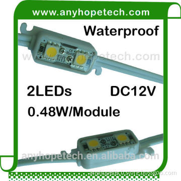 Chinese best reliable factory SMD5050 DC12V 2LEDs smd led driver module
